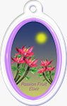 Passion Gel Air Freshener