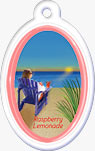Rasberry Gel Air Freshener
